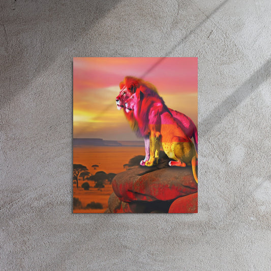 Sunset Rainbow 16x20 Metal Print - OUR RAINBOW PRIDE